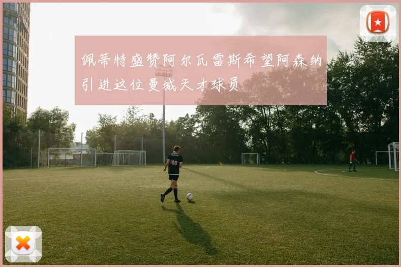 佩蒂特盛赞阿尔瓦雷斯希望阿森纳引进这位曼城天才球员