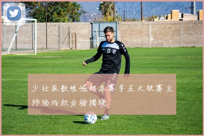 少壮派教练崛起本赛季五大联赛主帅场均积分榜揭晓
