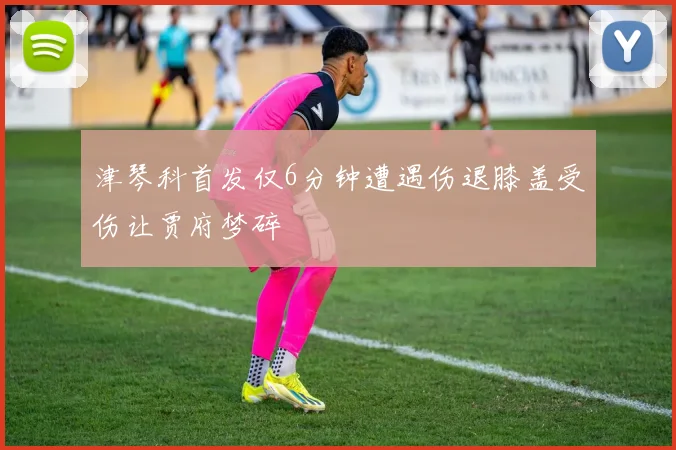 津琴科首发仅6分钟遭遇伤退膝盖受伤让贾府梦碎