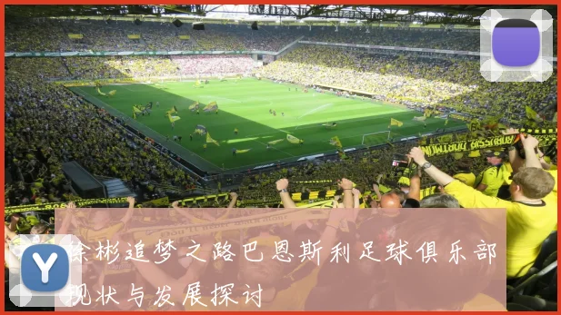 徐彬追梦之路巴恩斯利足球俱乐部现状与发展探讨