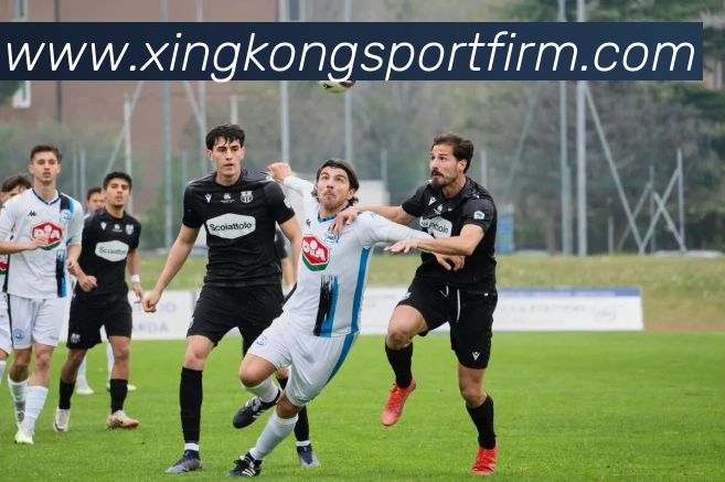 App Interface Preview