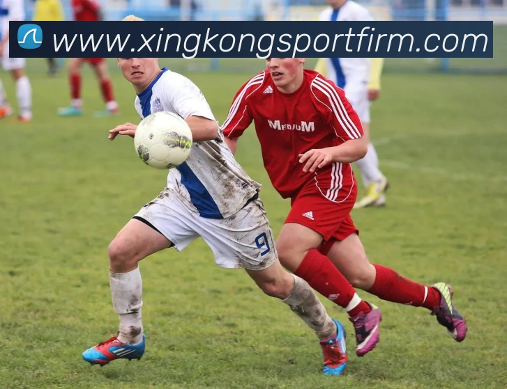 星空体育APP 封面图