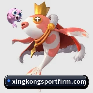 星空体育 APP 界面 | xingkong