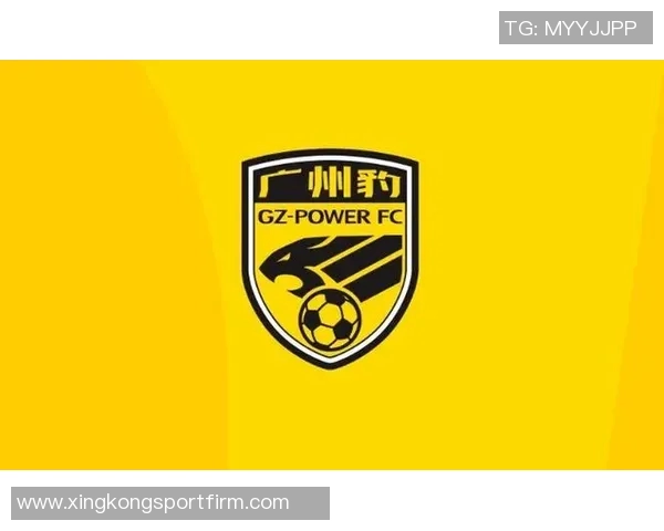 广州豹官方回应个别球迷违法行为公安已介入处理确保赛场秩序 广州豹官方回应个别球迷违法行为公安已介入处理确保赛场秩序